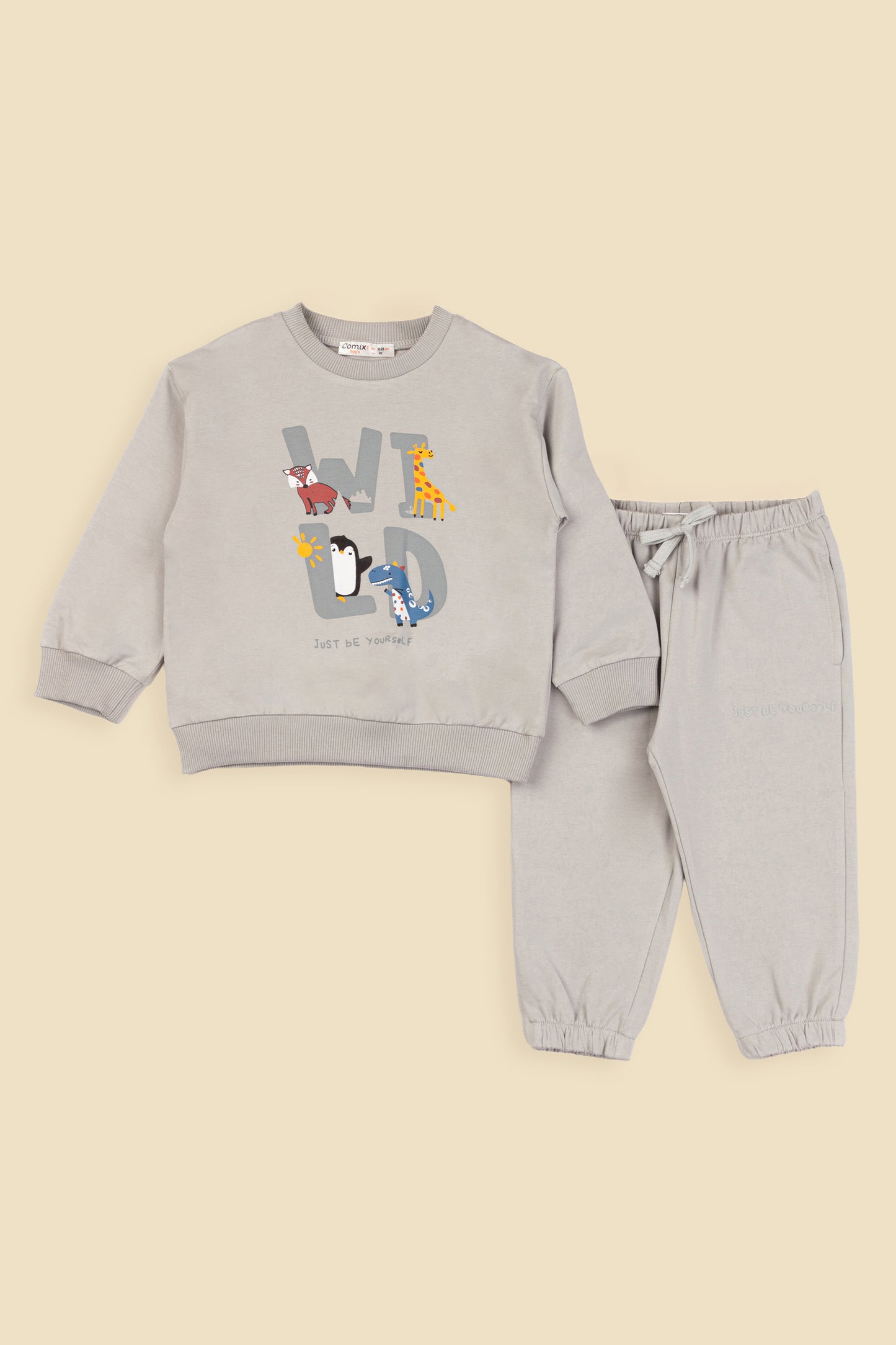 Wild Erkek Bebek Takım - Gri