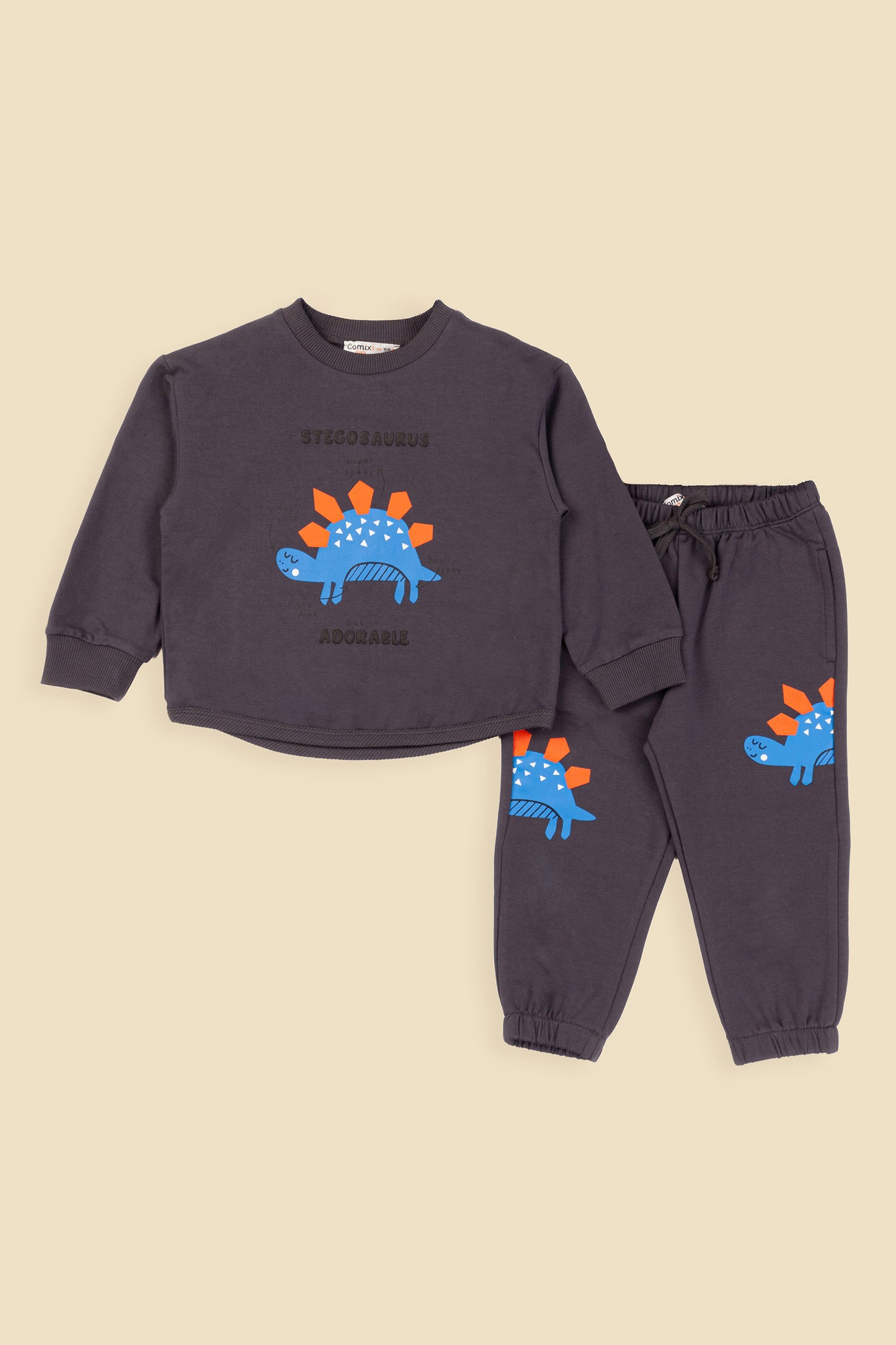 Stegosaurus Erkek Bebek Takım - Antrasit