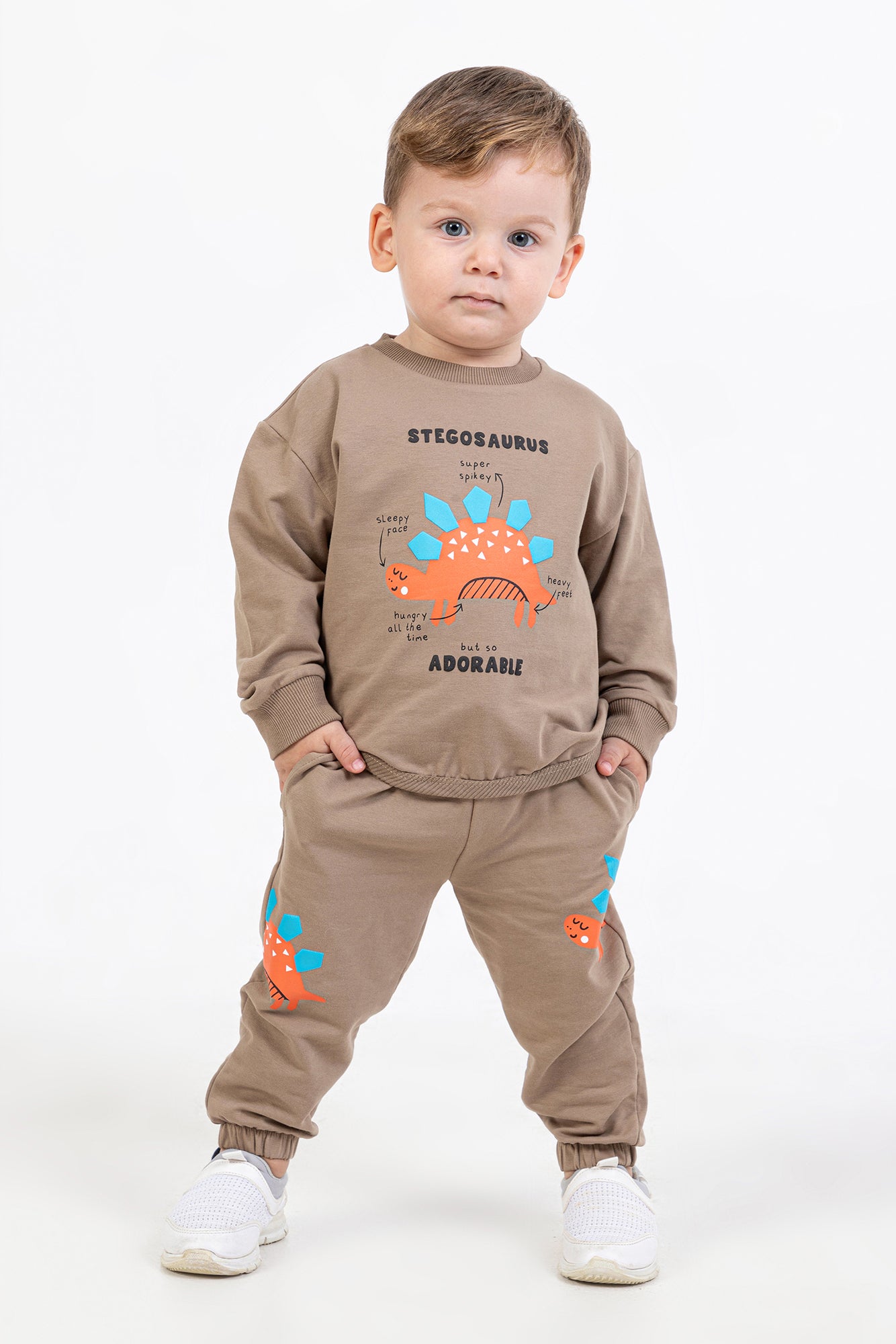 Stegosaurus Erkek Bebek Takım - Boz Kahve