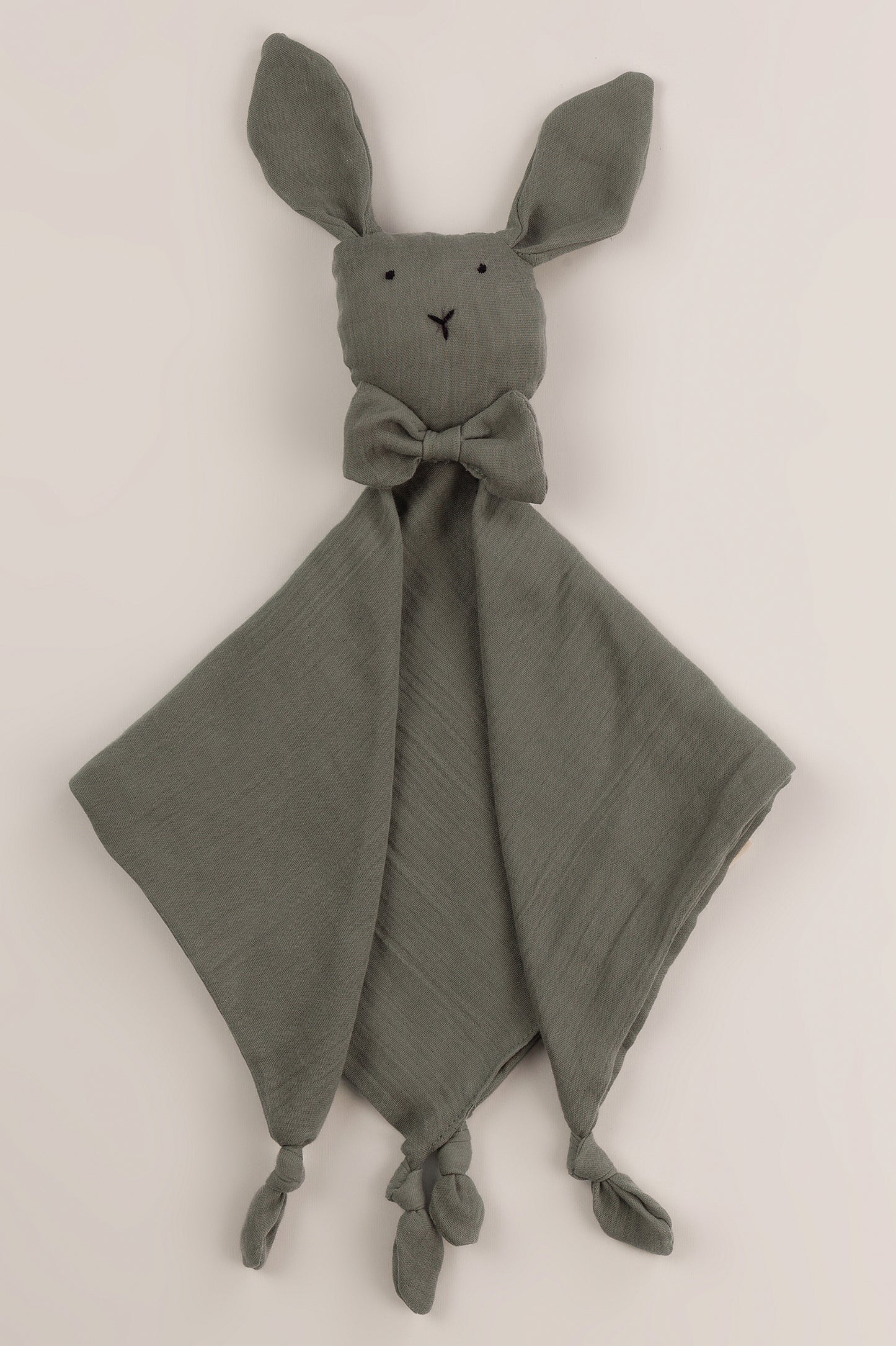 Bunny Uyku Arkadaşı